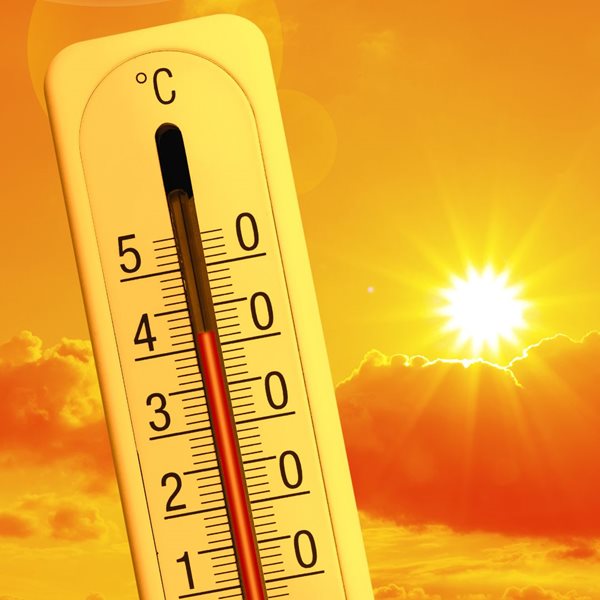 Supporting Rough Sleepers during the Heatwave!
